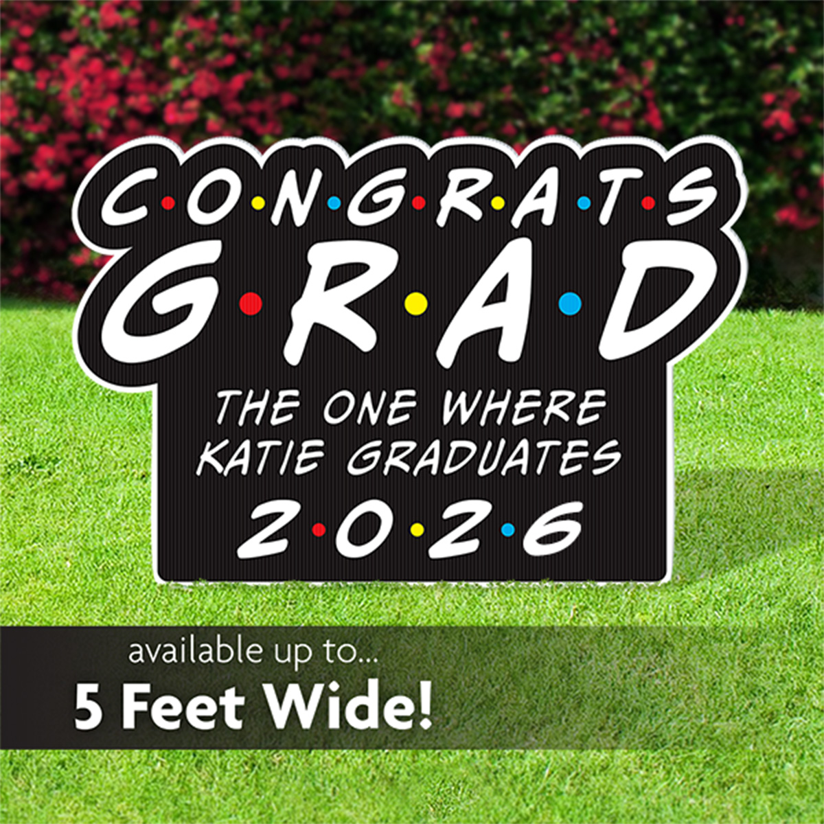 Congrats Grad |1990's sitcom inspired