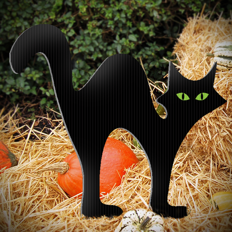 Spooky & Stylish: Black Cat Halloween Decor Ideas for a Purr-fectly Haunted Home