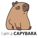 Capybara "Capy" Christmas Lawn Sign 6