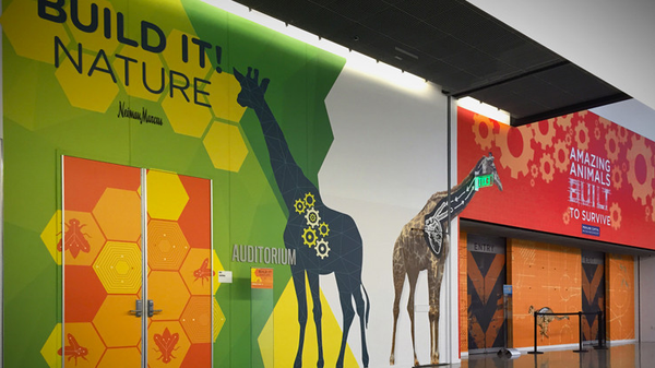 Phototex Wall Graphic