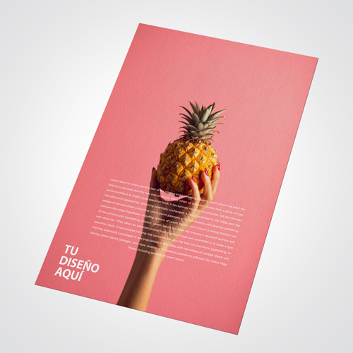 500 flyers o volantes