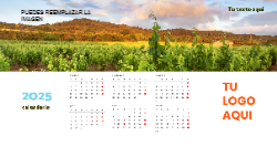 Calendario 2025 21x11 cm cada cara