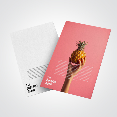 Flyers y Volantes, entrega flash personalizable – Aloprint