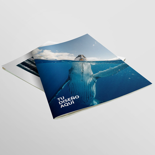 Revistas Tamaño Media Carta Revistas Tamaño Media Carta personalizable – Aloprint