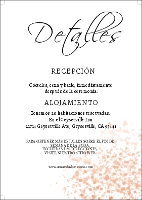 Coral Peach Strokes Wedding Invitation Details Main Invitation 5&quot;x7&quot;