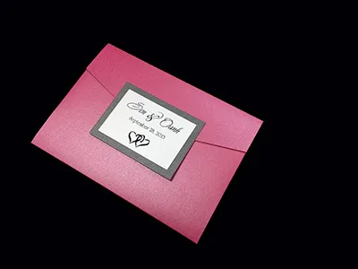 PAL-R-57-MMM Azalea, Ionised, Ice Silver Pocket & Folder Invitation AP Printing - PAL-R-57-MMM Azalea, Ionised, Ice Silver Pocket & Folder Invitation - Custom Printing Services