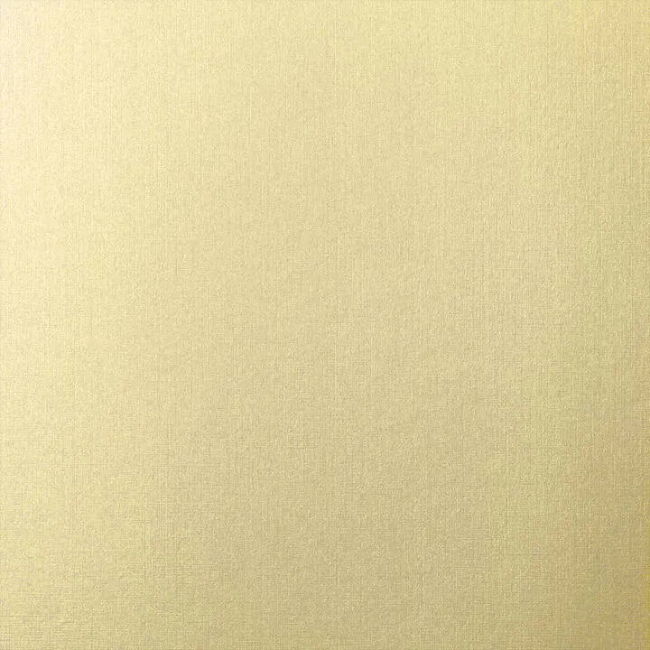 https://dv12lc9eedkje.cloudfront.net/apprinting/images/product/image_10081818202509.jpg