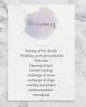 Splashes And Purple Watercolor Wedding Program Cards