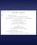 Delicate Snow Debris Simple Flat 5x7 Wedding Invitation