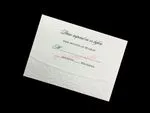 Flowers and Vines [CC-80] Fancy Luxury Wedding Invitation