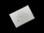 Silver Border Elegance