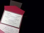 PAL-R-57-MMM Azalea, Ionised, Ice Silver Pocket & Folder Invitation