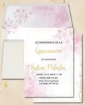 Quinceanera Blush Dreams 3
