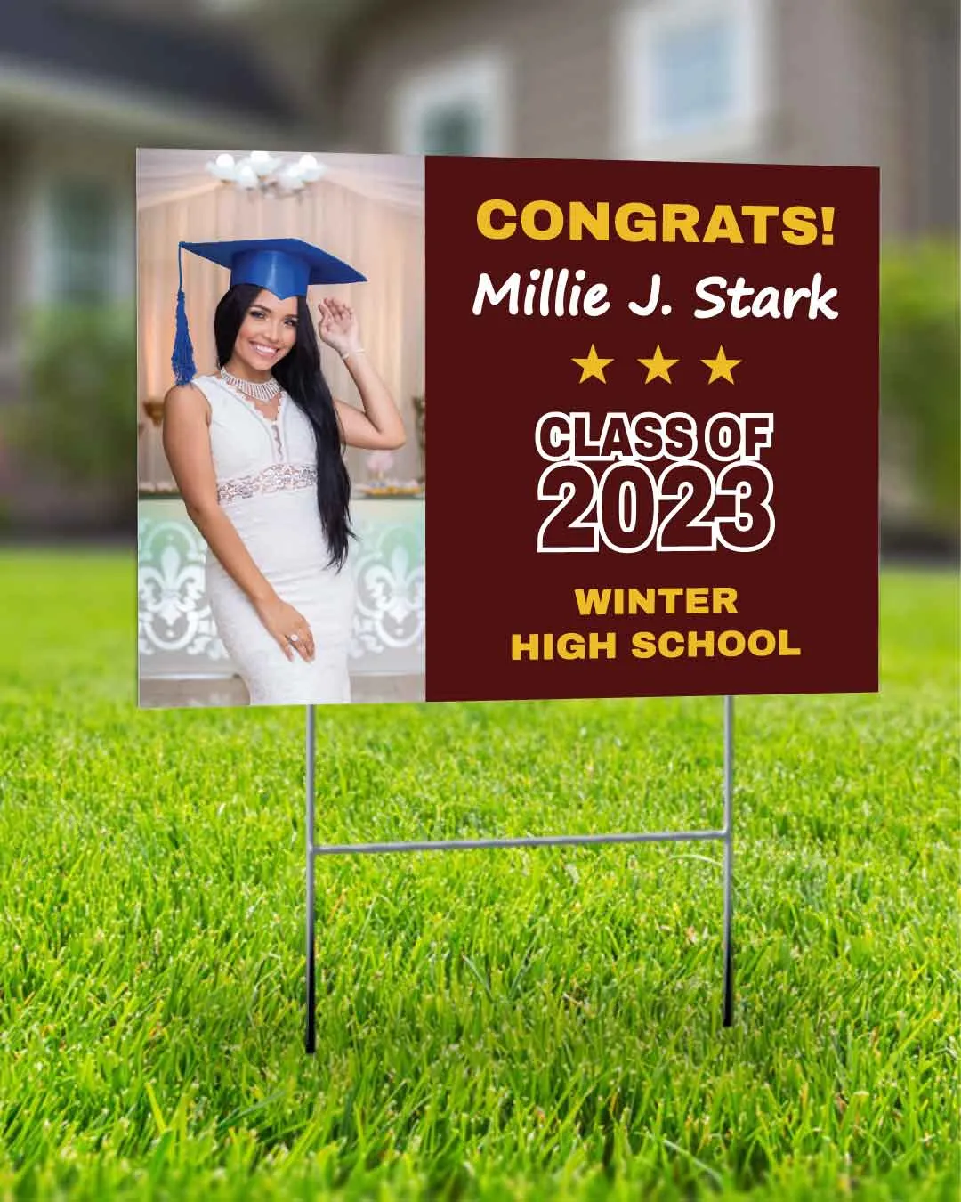 School Yard Sign 1