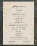 Golden Foliage Wedding Program Cards