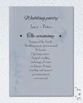 Refreshing Blue Wedding Program Cards