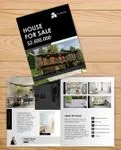 Modern Black Flyer
