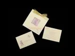 CHASE-SQ-ECRU-DR2 [I-12] Pocket & Folder Invitation 1