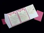 PAL-BL-57-MMM Crystal, Azalea, White Gold Pocket & Folder Invitation