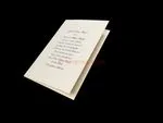 Traditional Panel Grace [CC-02] Pocket & Folder Invitation