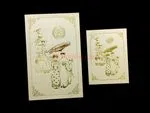 DR1-VT-V [V-L-01] Serenity Unveiled Bride & Groom Wedding Invitation