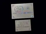 DR8-TT-RF [V-L-02] Luminous Love Bride & Groom Wedding Invitation