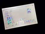 DRRD2-TT-RF [V-L-02] Silken Azure Affair Wedding Entourage