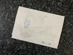 K9409 [I-10] Chic Serenade Birds & Doves Wedding Invitation