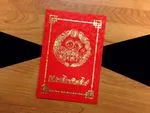 DRRP1-DVS-V2 [V-L-02] Radiant Rosettes Bride & Groom Wedding Invitation