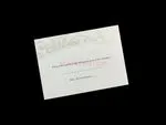 [CC-05] Pearlized Filigree Border Floral Wedding Invitation