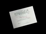 Love Grows [CC-15] Pocket & Folder Invitation
