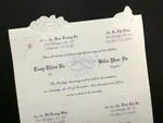 K974 [I-11] Radiant Reverie Birds & Doves Wedding Invitation