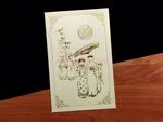 DR1-VT-V [V-L-01] Serenity Unveiled Bride & Groom Wedding Invitation