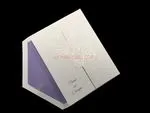 Butterfly Wishes [CC-15] Pocket & Folder Invitation