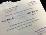 K974 [I-11] Radiant Reverie Birds & Doves Wedding Invitation