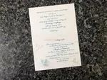 K976 [I-11] Dusk Delights Birds & Doves Wedding Invitation