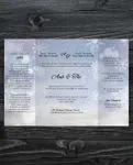 Winter Storm 5x7 Gate Fold Wedding Invitation