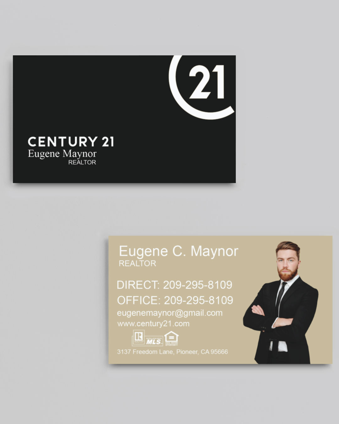 Century 21 Elegant Play of Colors Standard Business Cards