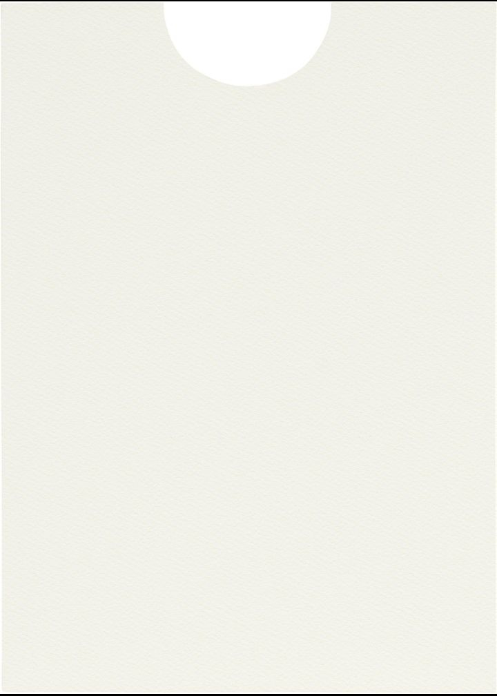 Sleeve Warm White Felt Pocket & Folder Invitation