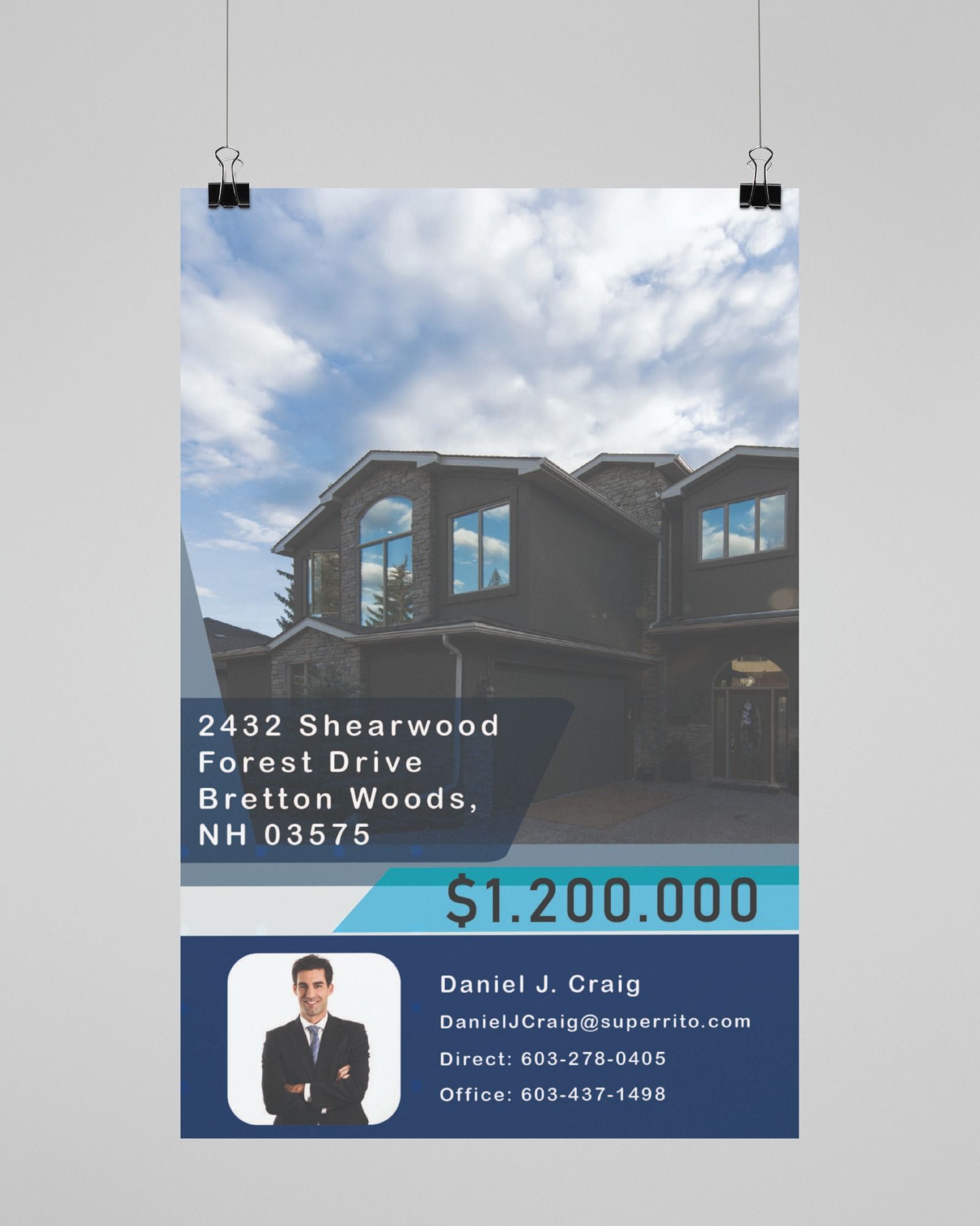 Large Black Luxury House Posters