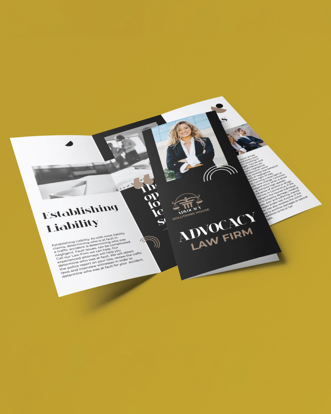 Elegant Minimalist Black Brochures