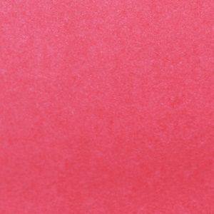 SD Azalea Pink