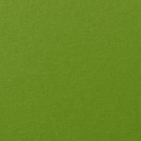 SD Fairway Green