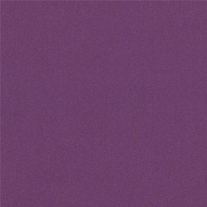 CM Violette