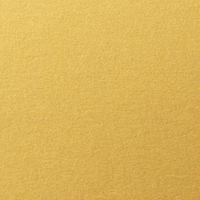 SD Gold