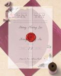 Vellum Wrapped Vietnamese & English Wedding Invitation