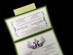 PSQ-77-MMM-2WL Botanic, Lime, Poison Ivory Pocket & Folder Invitation