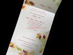 Leaf Swirl Seal & Send [CC-50] Pocket & Folder Invitation