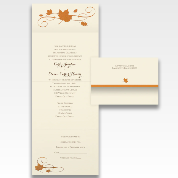 Wedding Ensembles [Weddings & Special Occasions]	