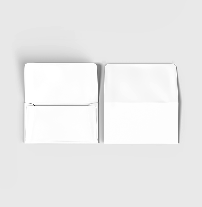 Remittance Envelopes